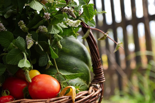 Summer's Fresh Fruit and Vegetable Bounty - VOICE